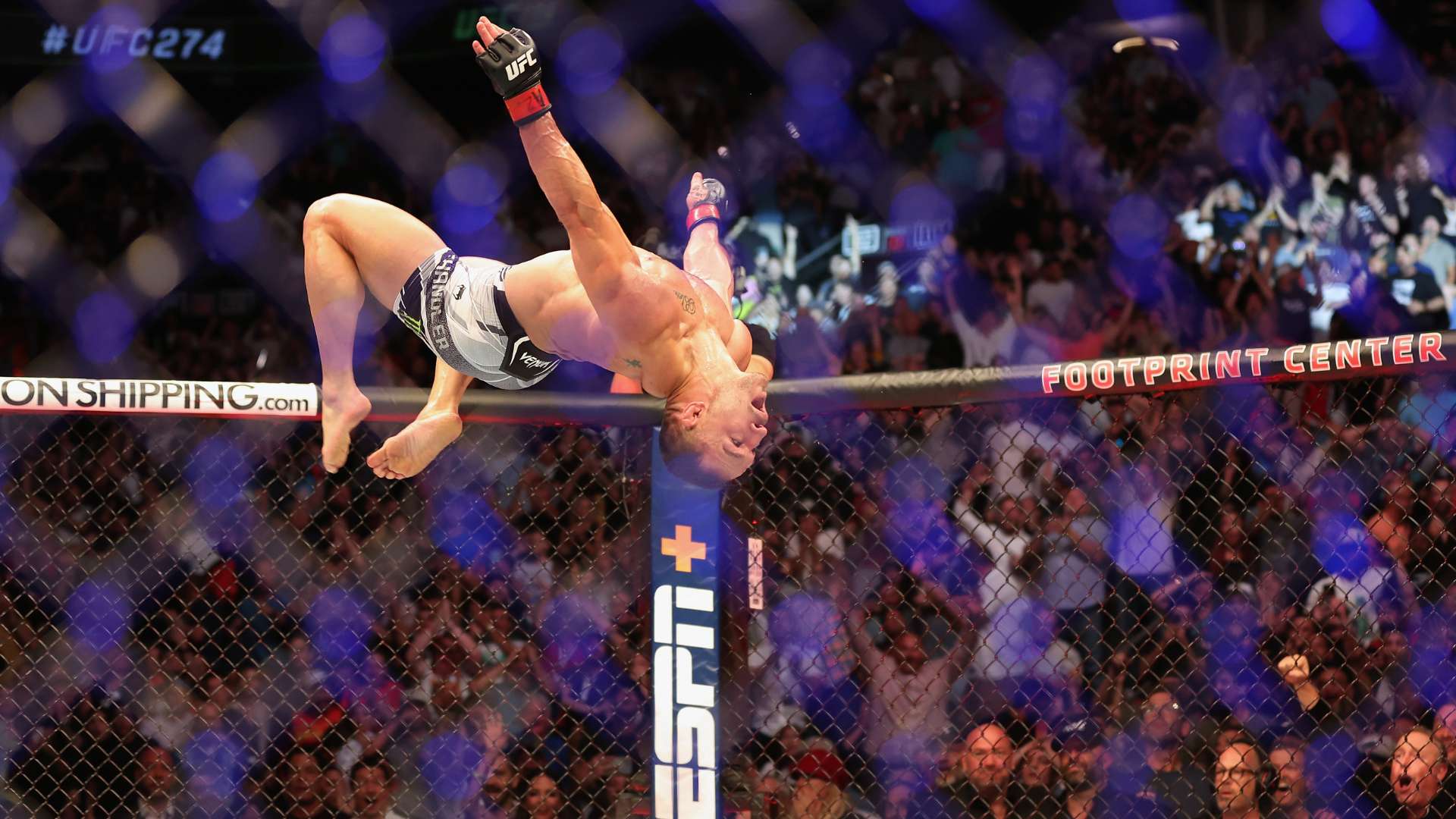 完美融入自 完美融入自